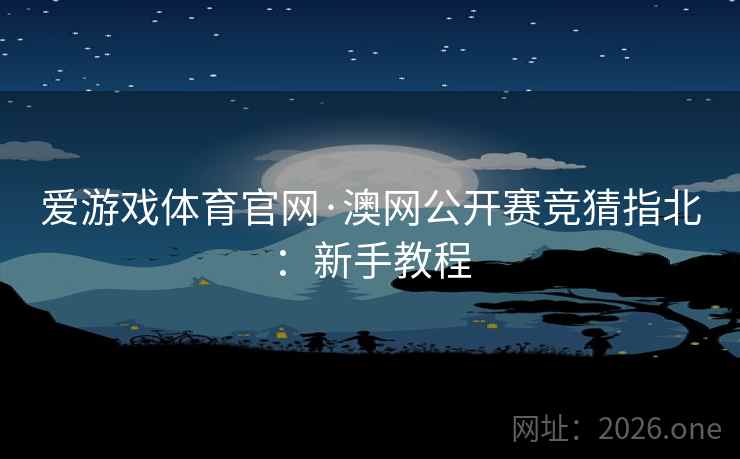 爱游戏体育官网·澳网公开赛竞猜指北：新手教程