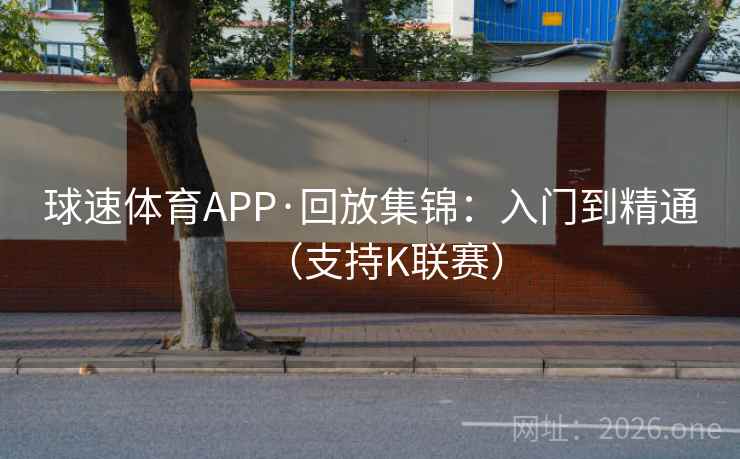 球速体育APP·回放集锦：入门到精通（支持K联赛）  第1张