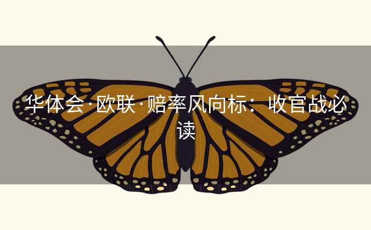 华体会·欧联·赔率风向标：收官战必读  第2张