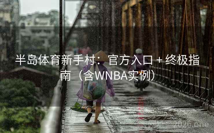 半岛体育新手村：官方入口 + 终极指南（含WNBA实例）  第2张