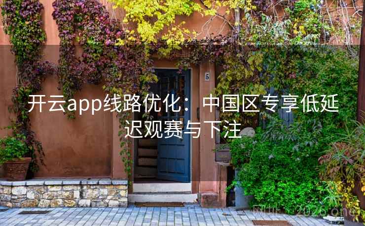 开云app线路优化：中国区专享低延迟观赛与下注