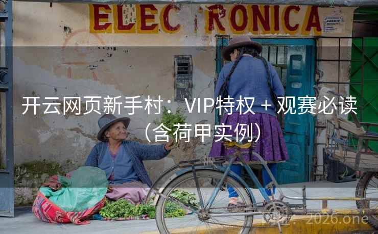 开云网页新手村:VIP特权 + 观赛必读(含荷甲实例) 第2张 开云网页新手村:VIP特权 + 观赛必读(含荷甲实例) 第2张